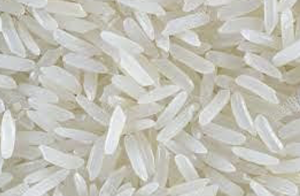 Capture d’écran 2023-12-08 à 18.40.55