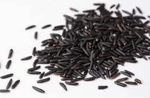 Capture d’écran 2023-12-08 à 18.41.05