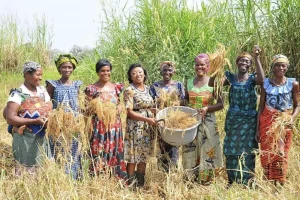 Capture d’écran 2023-12-11 à 15.59.19