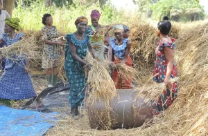 Capture d’écran 2023-12-11 à 15.59.50