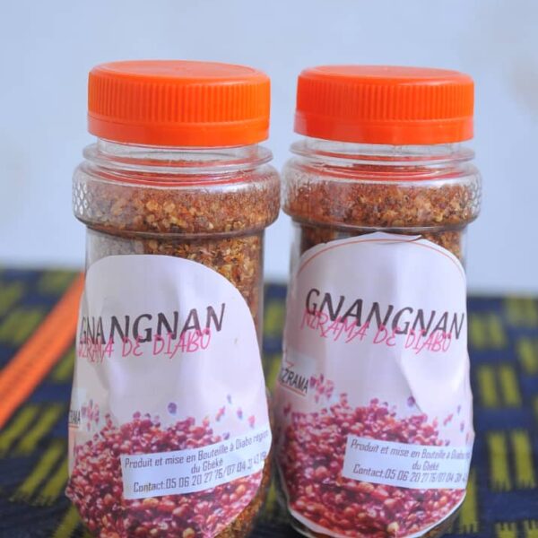 Gnangnan Séché N’ZRAMA de Diabo